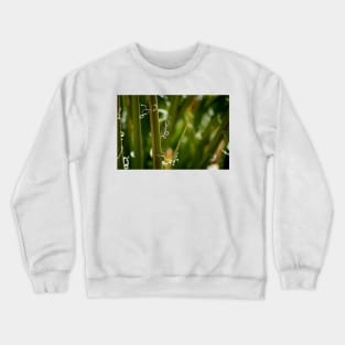 Yucca Art Crewneck Sweatshirt